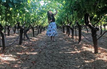Cretan Vineyard Hill Villa Private Pool, Panoramic View, Beautiful Vineyard - Foto 62