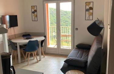 Location vacance vue mer 4 à 6 personnes - Foto 6