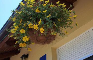 Apartment Kovacic Jurlina - Foto 6