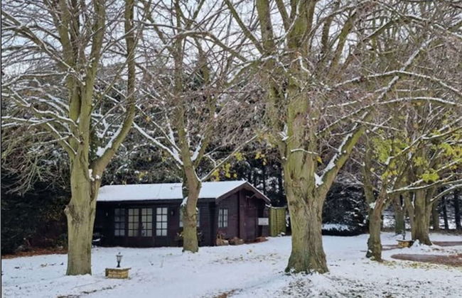 Reed by Paymán Club - Photo 7