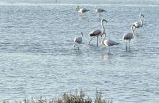 Via Roma House Casetta - Foto 37