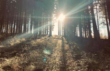 Waldhaus Kustelberg - Foto 23