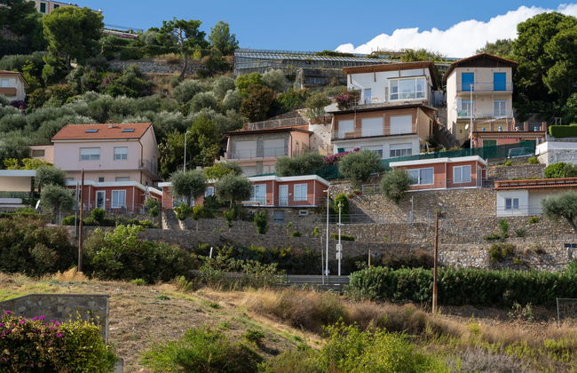 Ibisco (SLR404) - Foto 10