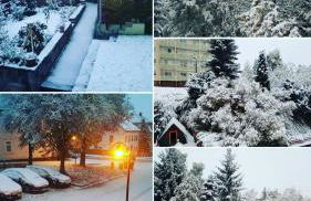 Froeschlein - no craftsmen fitters - Foto 17