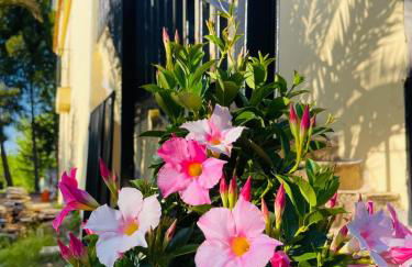 Casa Rural Palaz Cinco - Foto 27