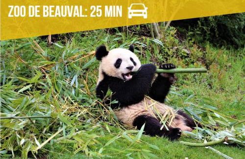 Le Cavernacle - Foto 14