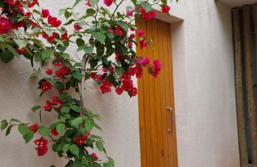 Statera Host - Foto 6