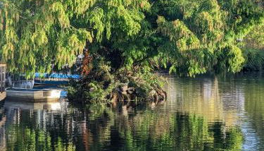 Tulana Taggs - floating home on idyllic island - Foto 3