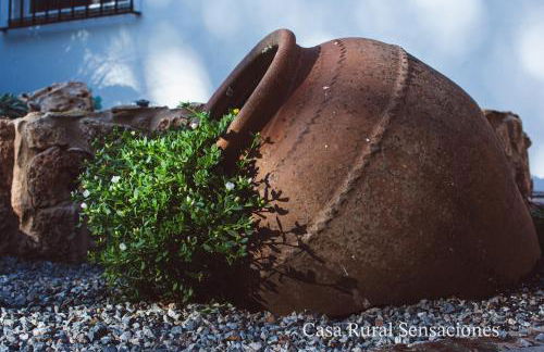 Sensaciones - Foto 10