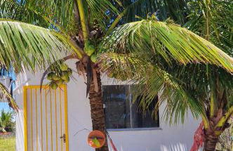 Casa do Maracuja - Foto 47