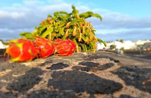 Mar en Calma - Foto 17