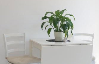 Apartmani Štambuk - Foto 5
