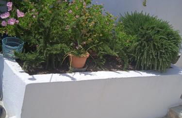 To limanaki - Foto 44