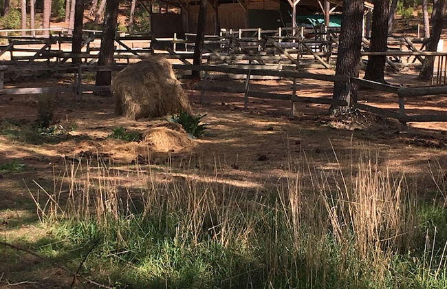 Chalet Orange Naturiste la Jenny - Foto 10