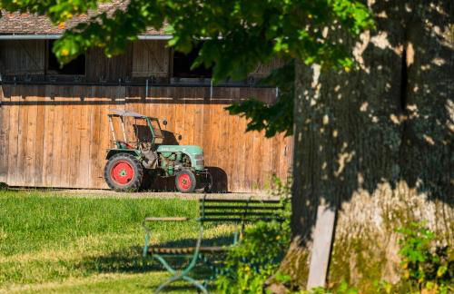 Ferien beim Baur - Foto 39