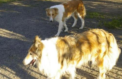 Holiday Home Blockhaus in Gajówka mit Kaminofen by Interhome - Foto 17
