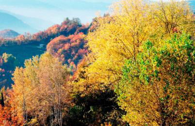 Borgo San Rocco Piemonte - Foto 29