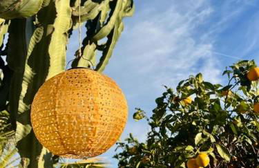 Casa Pipa Alhaurín el Grande - vrijstaande casita met privé zwembad en grote tuin - Photo 10