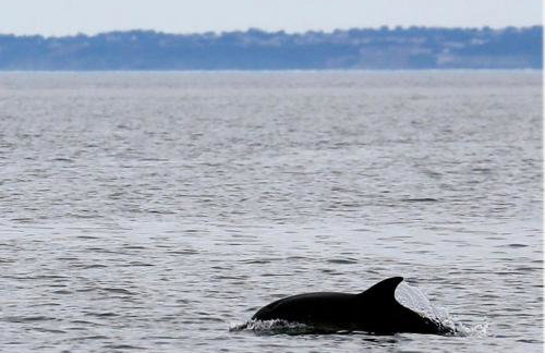 Stunning Sea View Two Bed Two Bathroom Apartment - Foto 25