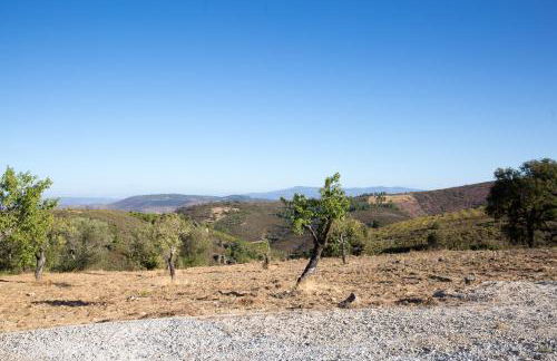 Desafios da Horta - Foto 15