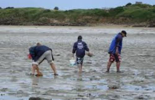 Chalet en Bois Unique Séjour Inoubliable Face à la Mer - Photo 33