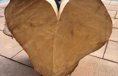 Tischneck Chalets - TraumFerienhäuser im Schwarzwald - Chalets Riva & Limone - Foto 19