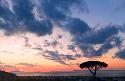 La Pigna Sorrento - Foto 37