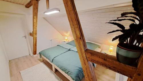 FeWo Ellerholz am Müritz Nationalpark - Foto 5