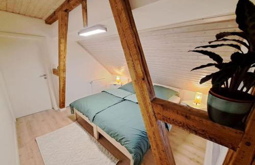 FeWo Ellerholz am Müritz Nationalpark - Foto 5