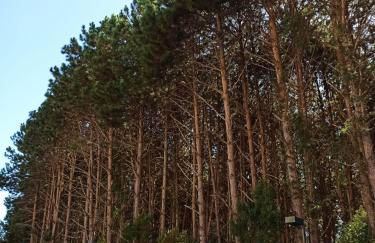 Flat Pedra Azul - Photo 35