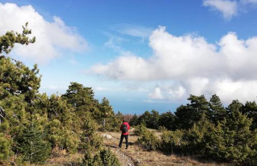 Olympus Country House - Foto 29