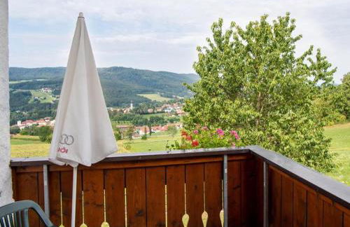 Wellness Ferienwohnungen Zellertalblick - Foto 13