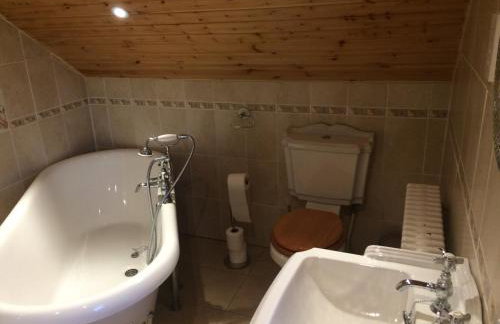 Maes Madog Cottages - Foto 46