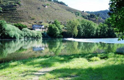 Casa Oliveiras do Douro - Foto 24