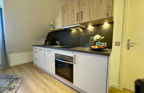 Apartmenthaus Blauer Wolf by ROom for LIving Gunzenhausen - Foto 33