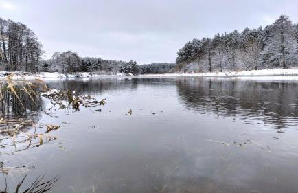 Dom z basenem nad Narwią - Foto 33