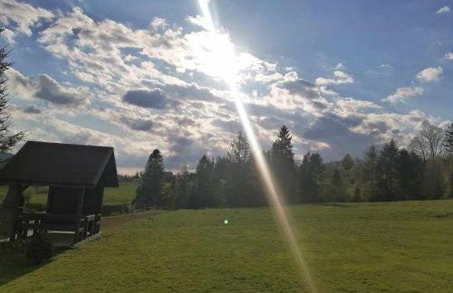 Olberówka - Foto 32