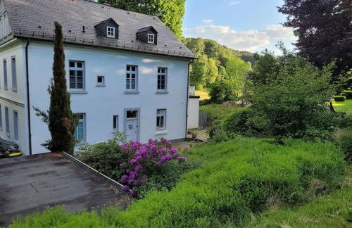 Ferienwohnung Landidyll, Whirlpool, Minipigs, Ponys, Familien - Foto 1