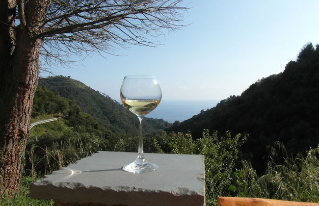 Agriturismo Costa di Campo - Foto 56