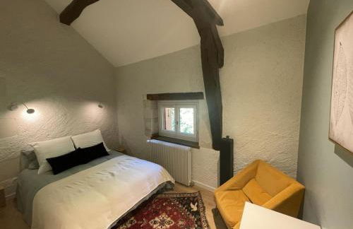 Gîte de charme, jardin privé, proche Tours, animaux admis - FR-1-381-637 - Foto 15