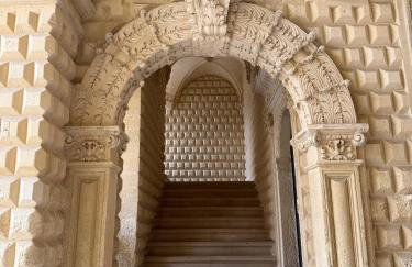 The Sunflower - Photo 47