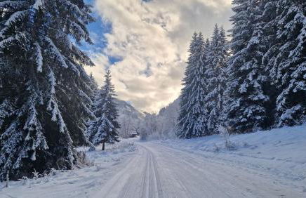 Apt A04 terrasse, village et ski à pied avec sauna, fitness et tennis - Photo 9