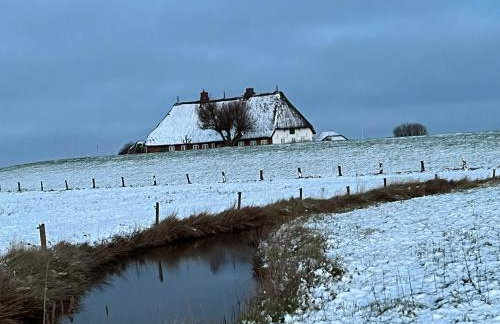 Hallig Hüs - Foto 7