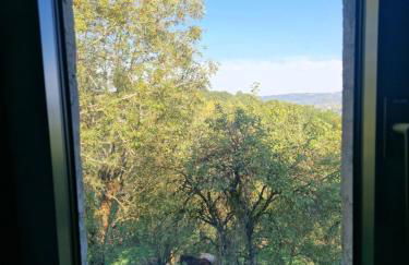 Le Coustouzet - Gîte 10 personnes Bozouls - Photo 28