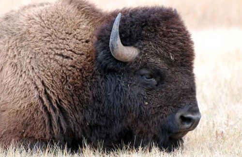 King of the Mountain. Private Hot Tub. Pets allowe - Foto 50