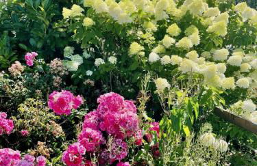 Ferienhaus AlmauBayern - mit Bergblick und großem Garten - Foto 48
