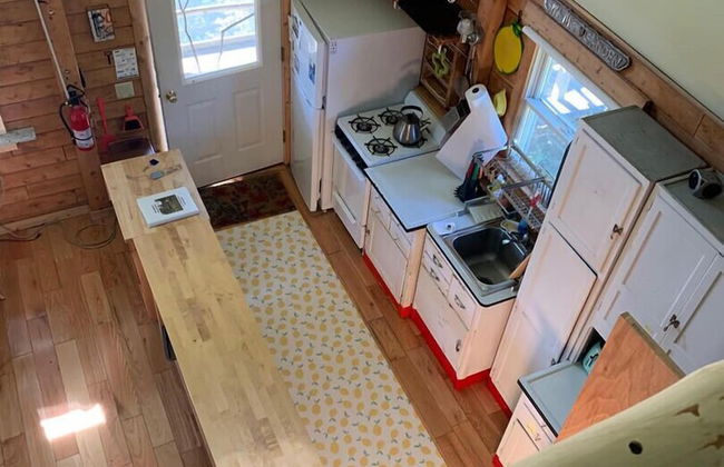 Dear Cove - Kayaking! - Foto 7