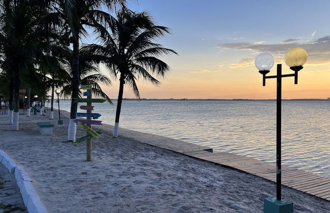 Casa Palmer - Photo 27