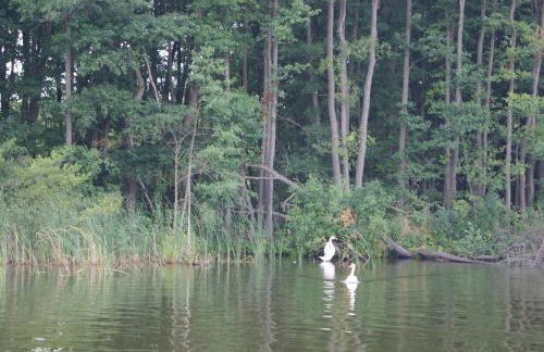 Ferienwohnung Vilzsee - Foto 18