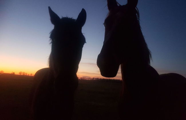 Restful Holiday Home in Lemele - Foto 25